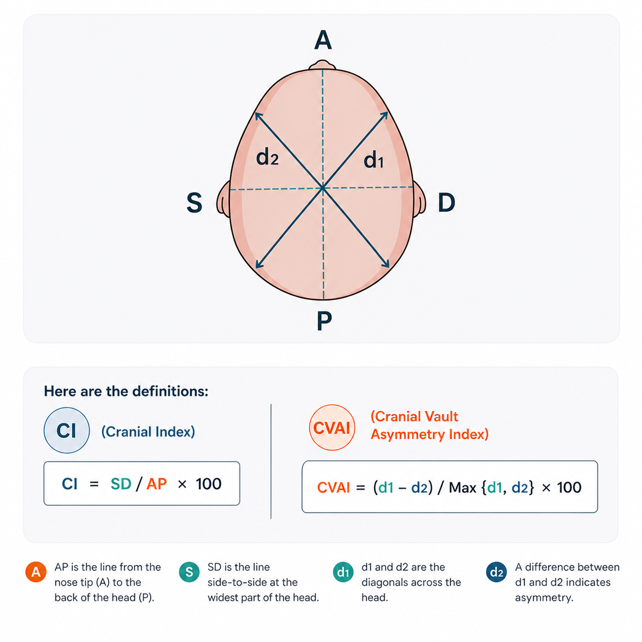 Diagram illustrating CI and CVAI infant head shape measurements